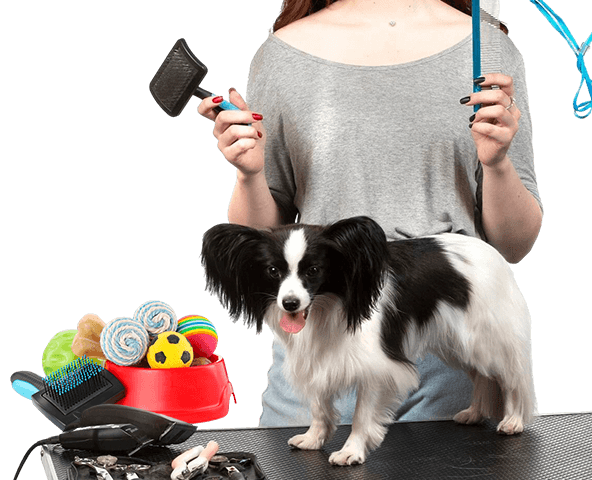 Pets & Pet Care